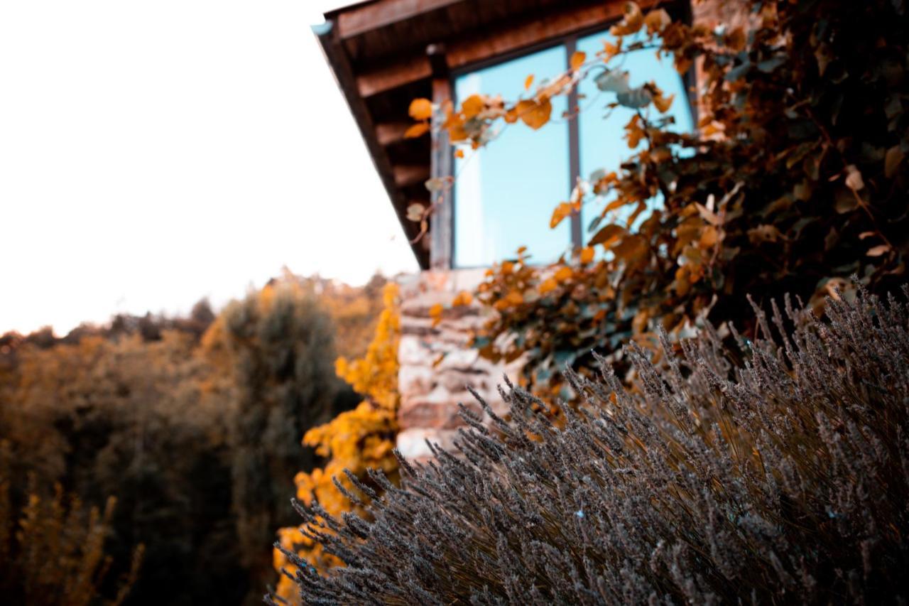 Maison D'Hotes Le Hameau De La Mure Saint-Laurent-du-Pape Exterior photo